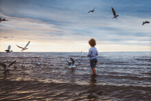 A Small Boy With Curly Hair In A Sailor's Striped Vest Feeds Gulls On The Sea Beach. Rear View. Cloudy Weather, Sunset.