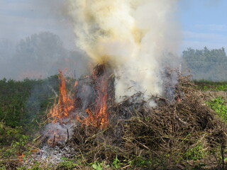 Thick gray smoke fire burns great photo