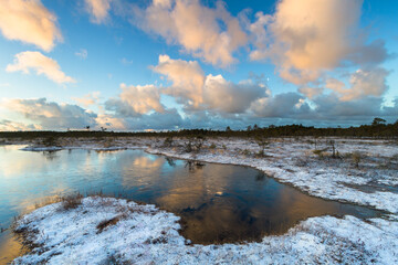 Swamp lake with islands in sunny winter day in sunrise