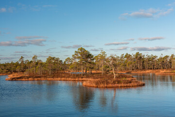 Swamp lake with islands in sunny day and sunrise