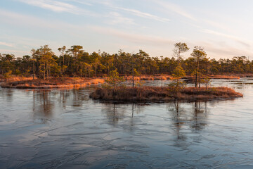 Canvas Print - Swamp lake with ice in sunny spring day in sunrise