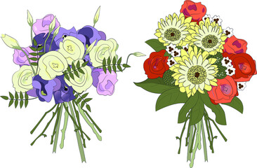 The vector illustration of two isolated bouquets of flowers (roses, gerbers, chamomiles, chrysanthemum) on the transparent background