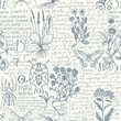 Vector seamless pattern with medicinal herbs, insects and handwritten text Lorem Ipsum. Retro style hand-drawn herbs, beetles, butterflies on an a light background. Wallpaper, wrapping paper, fabric