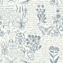Vector Seamless Pattern With Medicinal Herbs, Insects And Handwritten Text Lorem Ipsum. Retro Style Hand-drawn Herbs, Beetles, Butterflies On An A Light Background. Wallpaper, Wrapping Paper, Fabric