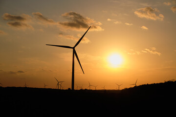 Wall Mural - Wind Turbines at Beautiful Sunset