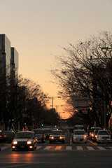 Poster - 表参道交差点の夕景