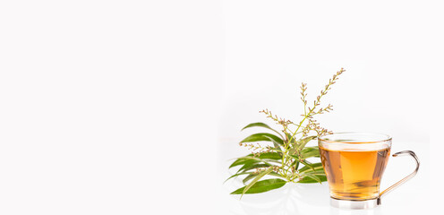 Wall Mural - Citron plant tea - Aloysia citrodora