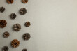 Dry pine cones on gray background. flat lay, top view, copy space