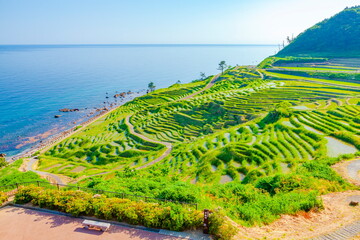 能登半島の白米千枚田　石川県輪島市白米町にて