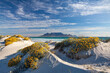 Leinwandbild Motiv scenic view of table mountain in cape town south africa from blouberg strand with spring flowers