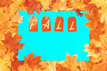 Fall text on price tags on blue with maple leaves background. Autumn seasonal sale. Copy space