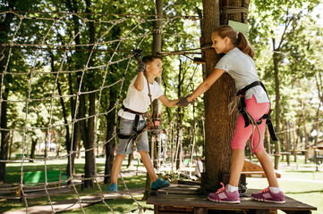 Wall Mural - Little kids climbs on net in rope park, playground