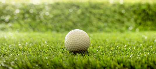 Wall Mural - Golfball on green grass golf course, close up view.