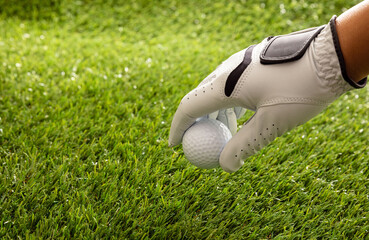 Wall Mural - Golf ball in gloved hand, green course lawn background, close up view.