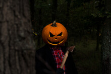 Bright Orange Halloween Pumpkin Worn As A Helmet. Scary Landscape Portrait Hiding Behind A Tree