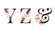Watercolor floral alphabet set of Y; Z; & and leaves. Flowers composition for logo, cards, branding, etc.
