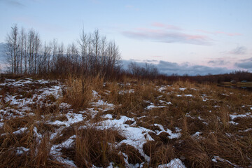 Field in the late autumn