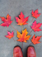 Wall Mural - Standing with orange shoes in red maple foliage in the fall