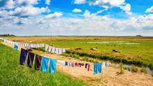 Typical Dutch Flat Polder Landscape With Laundry On A Clothsline Drying In The Sun Under A Blue Sky With Clouds. Waterland, North Holland, The Netherlands.