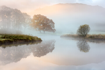 Wall Mural - great oak tree with autumn colours reflecting in misty river as the sun burns through the fog. river