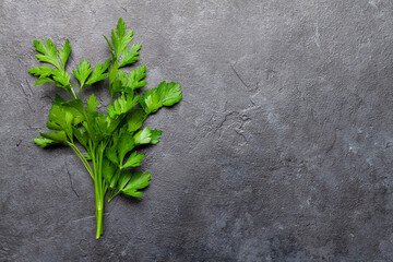 Canvas Print - Garden parsley herb