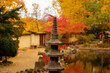Zen Garten im Herbst