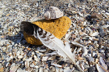 Sea Shell Sand Stone And Bird Feather Construction On Pebble Stones Beach Balance Harmony Mediation Spa Concept  