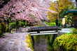 © Andriy Blokhin - Kyoto, Japan cherry blossom sakura flower petals falling in spring in famous Philosopher's walk path garden park by river and bridge