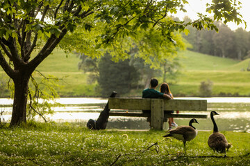 people and birds in a park