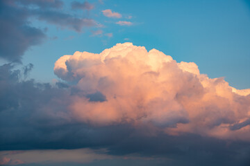 Canvas Print - 空