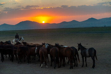 Wild horses and cowboys in the dust at sunset