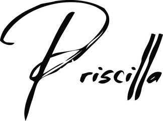 Wall Mural - Priscilla-Female Name Modern Brush Calligraphy Cursive Text on White Background