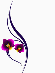 Canvas Print - Floral background with orchids, illustration.