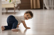 Portrait of cute little african American baby toddler crawl make first steps on home wooden floor. Small biracial newborn infant child learn walking play indoors. Childcare, upbringing concept.