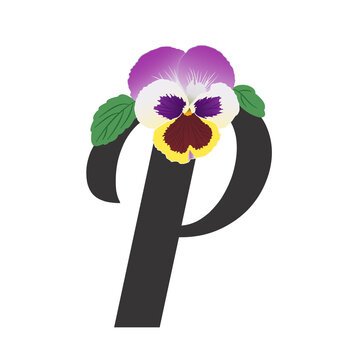 Flower alphabet letter P decorated with a single pansy flower. Bright bud with gradients, lilac, white, yellow shades. To design a paragraph of text. You can use the flower alone as a design element.