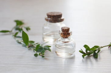 Meliotus officinalis essential oil (extract, infusion, remedy) bottle on wooden background