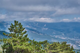 Fototapeta Na ścianę - Crimean mountains and cloudy sky. View from the Ai Petri plateau. In the foreground are beautiful coniferous trees. Mountain pine.