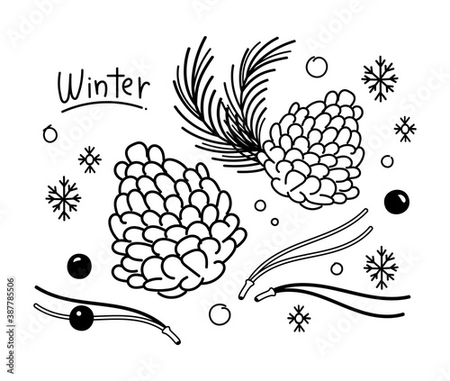松ぼっくりと冬の模様のイラスト 白黒 線画 Vector De Stock Adobe Stock 松ぼっくりと冬の模様のイラスト 白黒 線画 Vector De Stock Adobe Stock