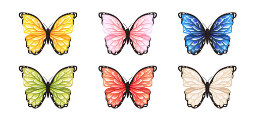 Wall Mural - Butterfly set isolated on a white background. Vector illustration. Big butterflies collection. Colorful. Different bright colors. Realistic. Cute simple cartoon design. Flat style.