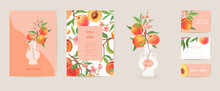 Wedding Invitation Peach Vector Card. Vintage Botanical Save The Date Set. Design Template Of Fruits