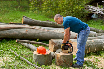 Wall Mural - Lumberjack sawing beech logs