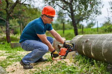 Wall Mural - Lumberjack sawing beech logs