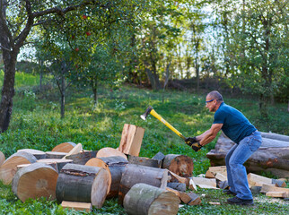 Canvas Print - Farmer splitting logs