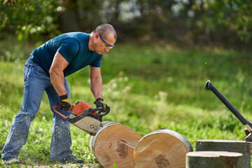 Wall Mural - Lumberjack sawing beech logs