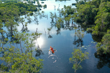 Aerial view of tourists, canoe or kayak in mangrove forests. Rayong Botanical Garden, tropical mangrove forest in a national park in Thailand. Holiday travel activities.