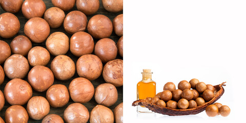 Wall Mural - Macadamia integrifolia - Nuts and macadamia oil