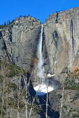 Wall Mural - Yosemite Falls