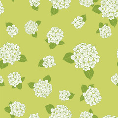 Wall Mural - seamless pattern hand drawn white round bouquet hydrangea flowers with leaves on green background design