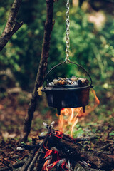 Wall Mural - Cast iron pot cooks over open fire in a campsite