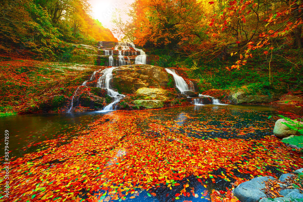 Colors of autumn 94